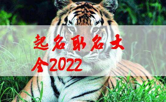 屬虎寶寶起名大全