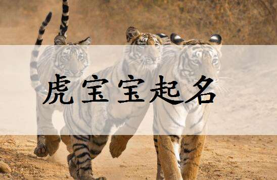 屬虎姓武寶寶起名大全