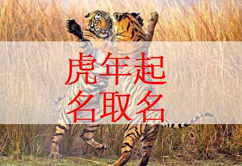 屬虎石姓寶寶起名大全