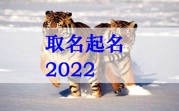 屬虎姓袁寶寶起名大全