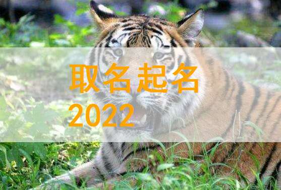 屬虎姓武寶寶起名大全