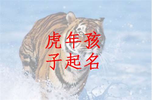 屬虎姓龔寶寶起名大全
