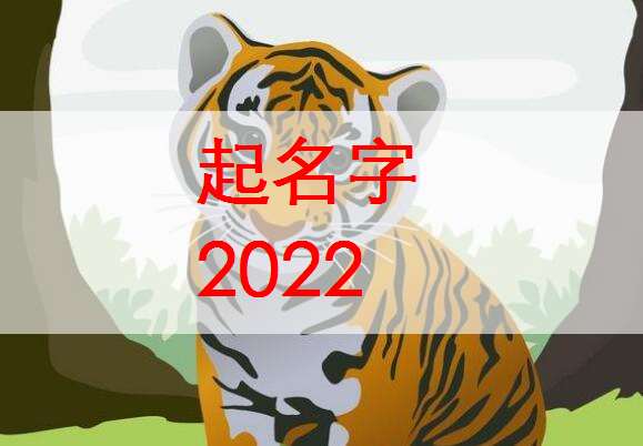 屬虎寶寶起名大全