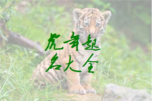 屬虎鄧姓寶寶起名大全