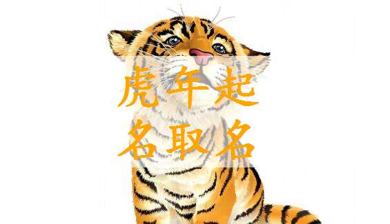 屬虎姓楊寶寶起名大全
