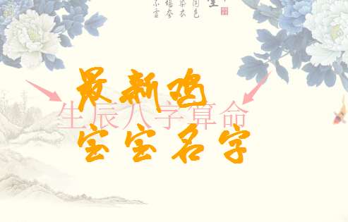 屬雞奚姓寶寶起名大全