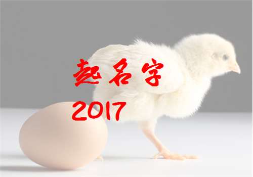 屬雞隋姓寶寶起名大全