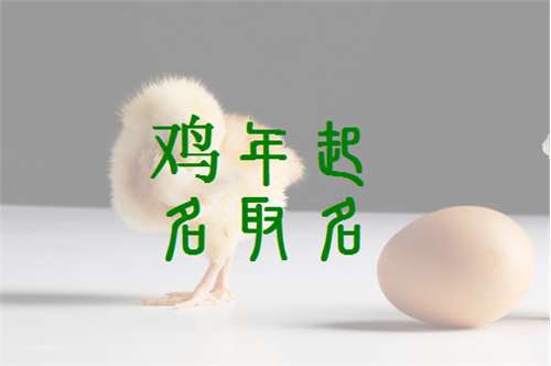 屬雞景姓寶寶起名大全