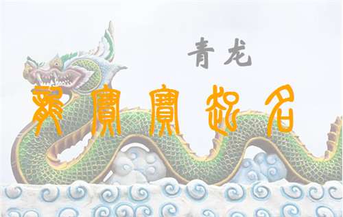 屬龍姓金寶寶起名大全