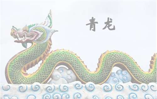 屬龍寶寶起名大全