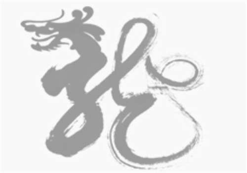 屬龍夏姓寶寶起名大全