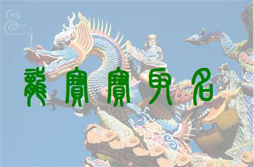 屬龍劉姓寶寶起名大全