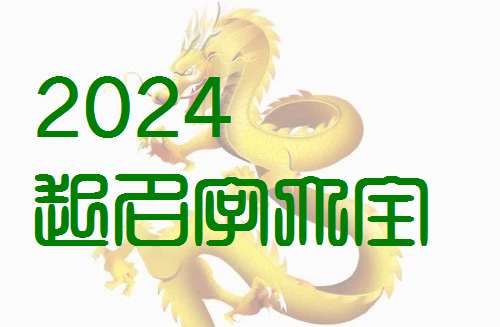 屬龍姓何寶寶起名大全