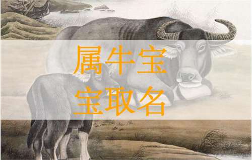 屬牛姓程寶寶起名大全