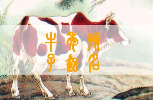 屬牛寶寶起名大全