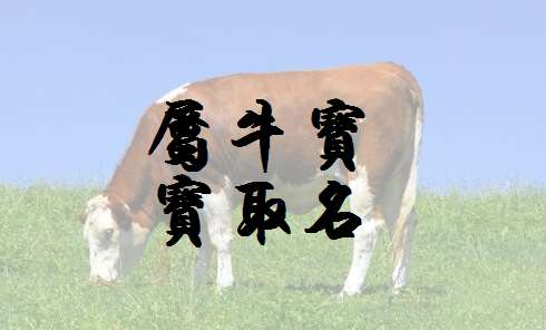 屬牛姚姓寶寶起名大全