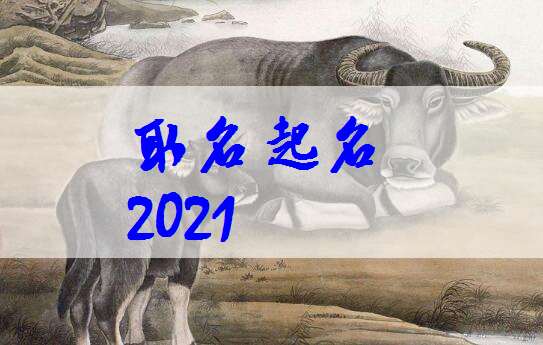 屬牛姓雷寶寶起名大全