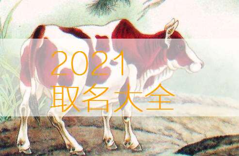 屬牛姓曾寶寶起名大全