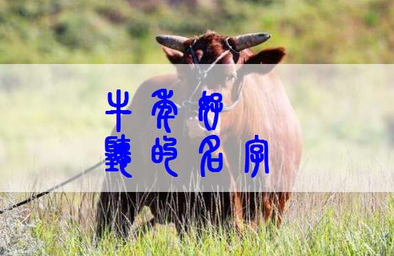 屬牛姓蕭寶寶起名大全