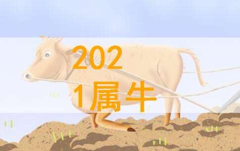 屬牛寶寶起名大全