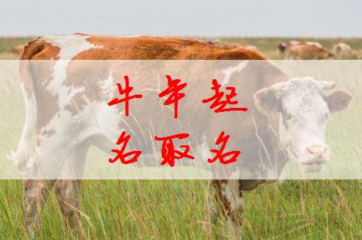 屬牛寶寶起名大全