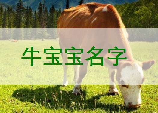 屬牛孫姓寶寶起名大全