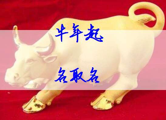屬牛姓倪寶寶起名大全