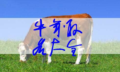 屬牛寶寶起名大全