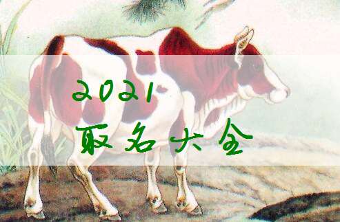 屬牛賴姓寶寶起名大全