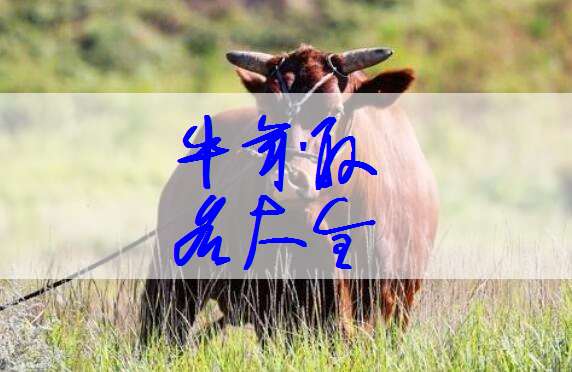 屬牛姓孟寶寶起名大全