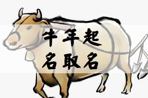 屬牛柳姓寶寶起名大全
