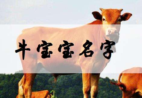屬牛寶寶起名大全