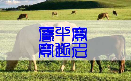 屬牛姓李寶寶起名大全