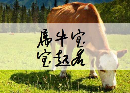 屬牛寶寶起名大全