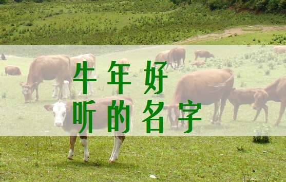 屬牛章姓寶寶起名大全