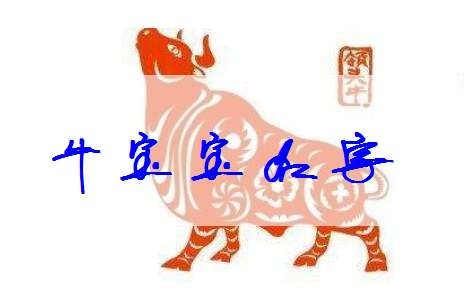 屬牛姓周寶寶起名大全