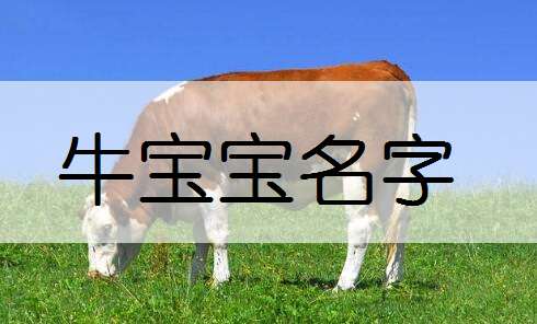 屬牛寶寶起名大全