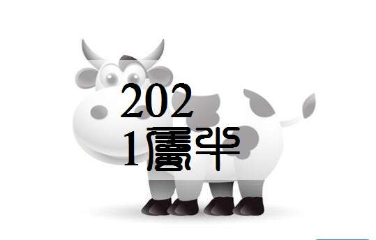 屬牛聶姓寶寶起名大全