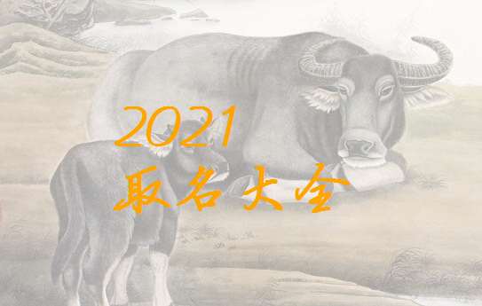 屬牛寶寶起名大全