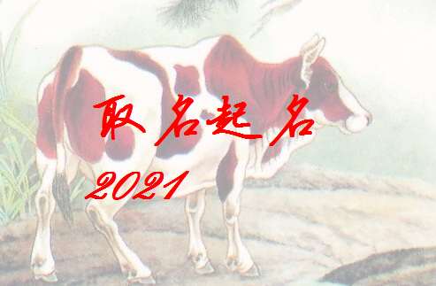 屬牛蔣姓寶寶起名大全