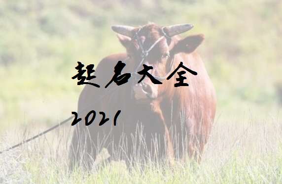 屬牛寶寶起名大全