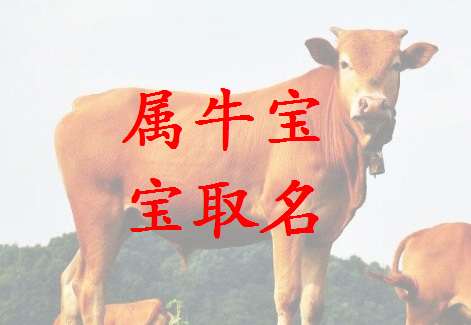 屬牛姓韋寶寶起名大全