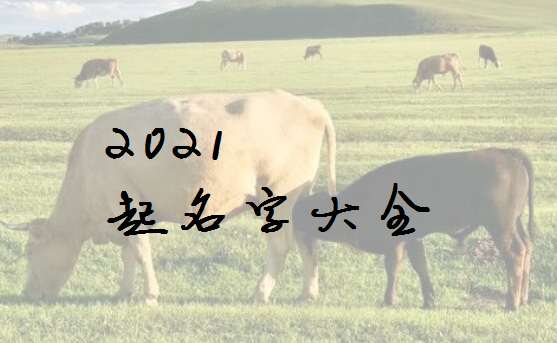 ţȫ