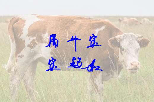 屬牛林姓寶寶起名大全