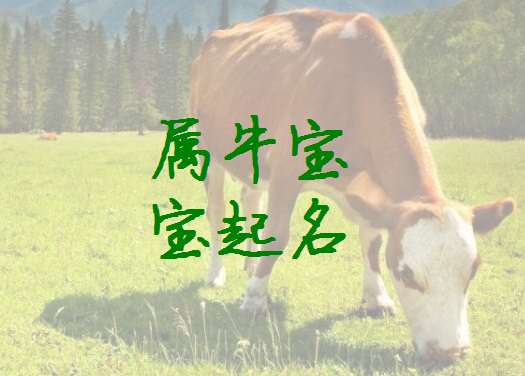 屬牛袁姓寶寶起名大全