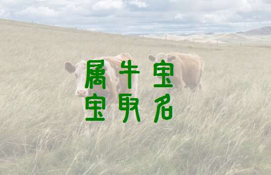 屬牛寶寶起名大全