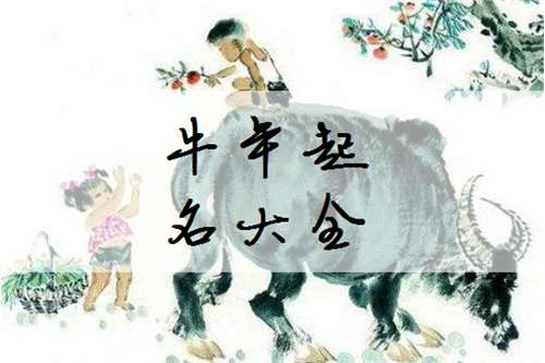 屬牛傅姓寶寶起名大全