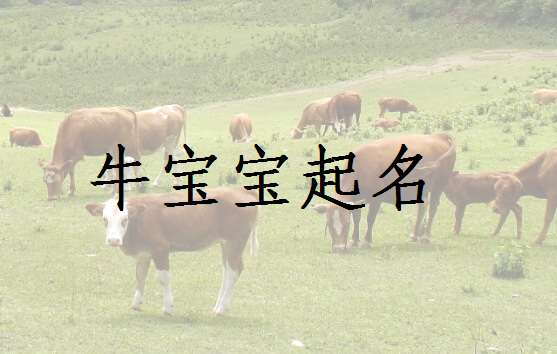 屬牛姓龍寶寶起名大全