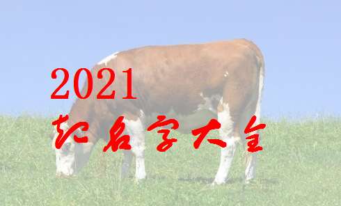 屬牛尹姓寶寶起名大全