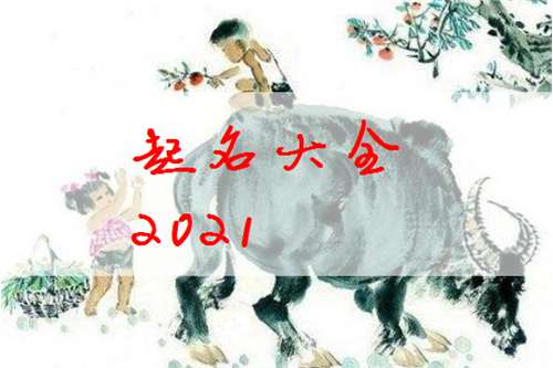 屬牛姓毛寶寶起名大全